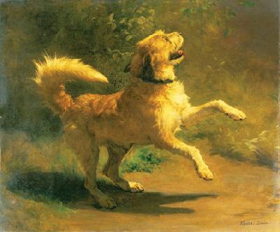 Rudolf Koller Springender Hund Germany oil painting art